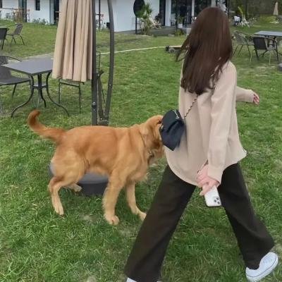浪子难回头